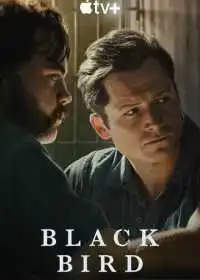 Постер сериала Чёрная птица